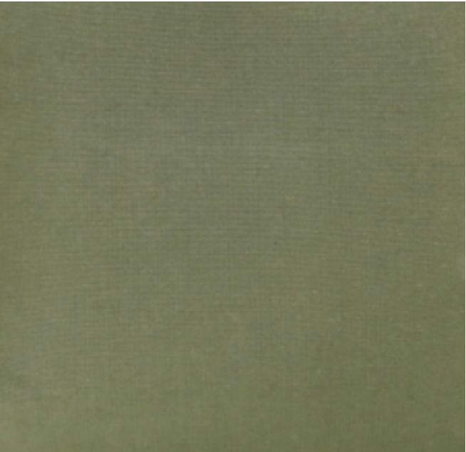 Canvas Green Fabric
